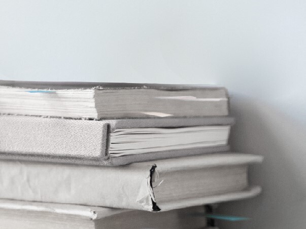 Финансовая модель и бюджет: в чем разница и как использовать инструменты вместе