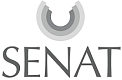 Senat MEA Management Consulting